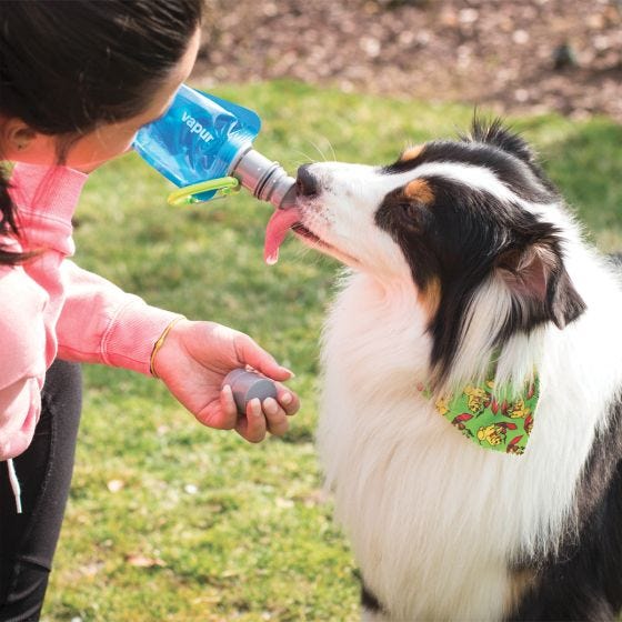 Vapur Ez Lick Portable Dog Vesipullo - Whiteout